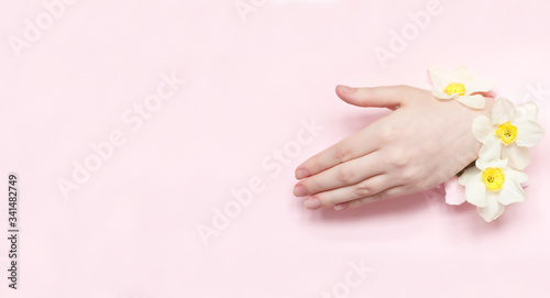 Hands with spring flowers sticking out of hole blue torn paper background.  Cosmetics hand skin care, moisturizing and wrinkle reduction
