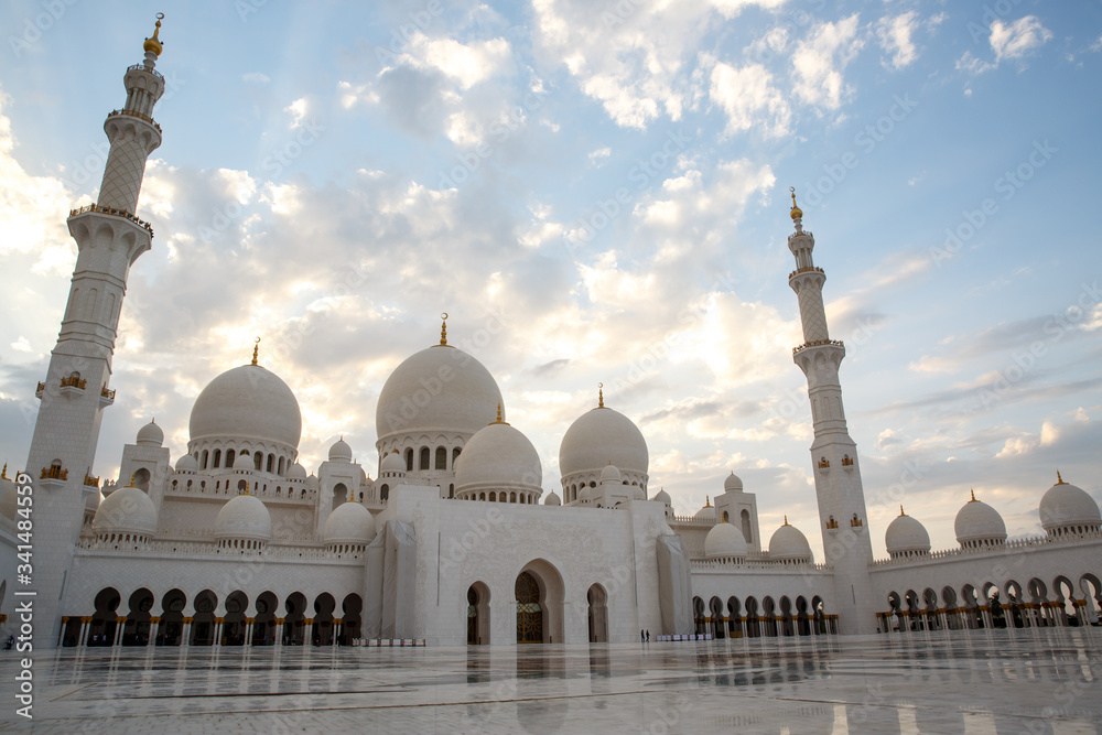 Obraz premium Sheikh Zayed Mosque in Abu Dhabi, United Arab Emirates - detail of columns