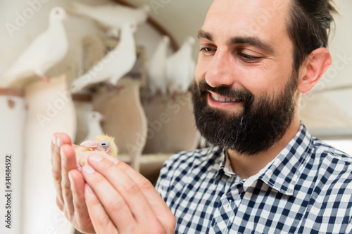 Man holding a pigeon chick in pigeon loft