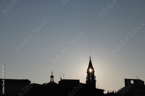 Florence's skyline