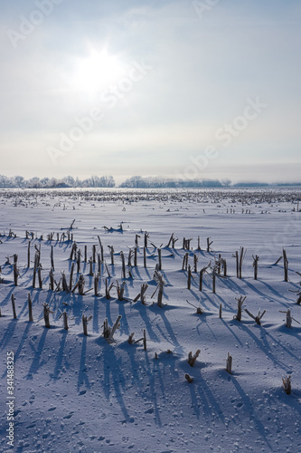 Tranquil Winter snow covering harvested farm field with long shadows from the sun and white grey sky wispy high clouds vertical v3