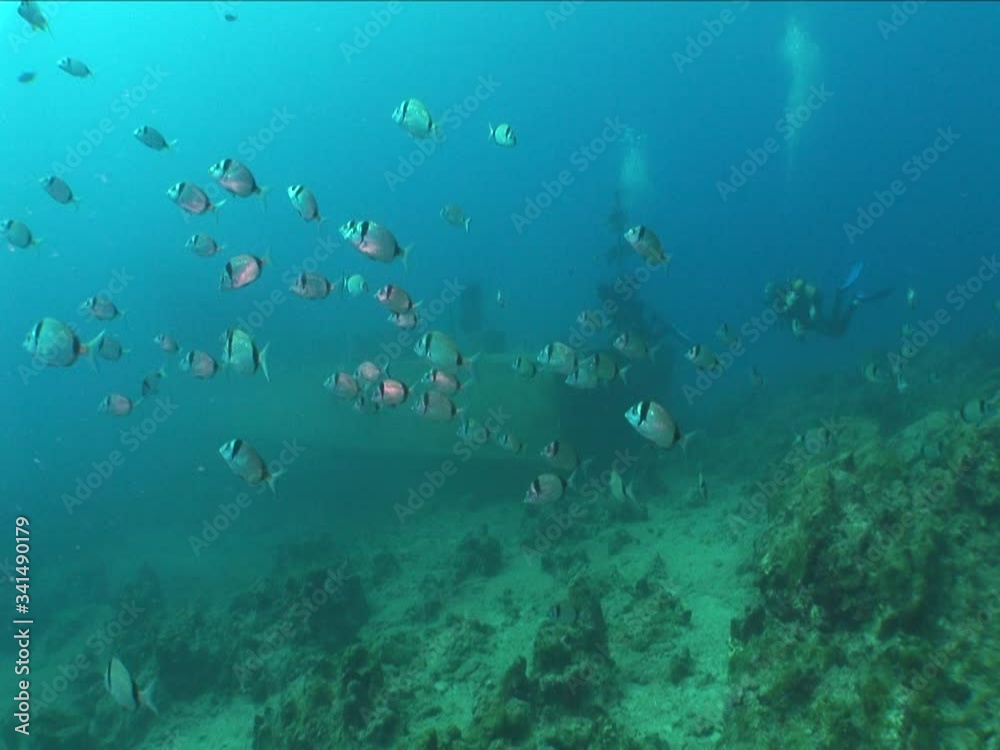 ship wreck underwater with fish around scuba divers to explore ocean scenery of shipwreck ship wreck underwater with fish around scuba divers to explore ocean scenery of shipwreck