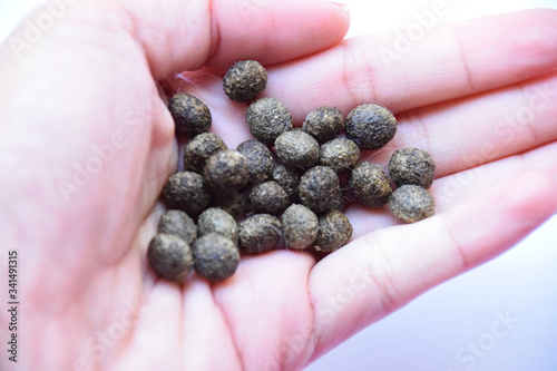 Bunny rabbit poops in the hand. Rabbit poops is the most clean more than other animals.