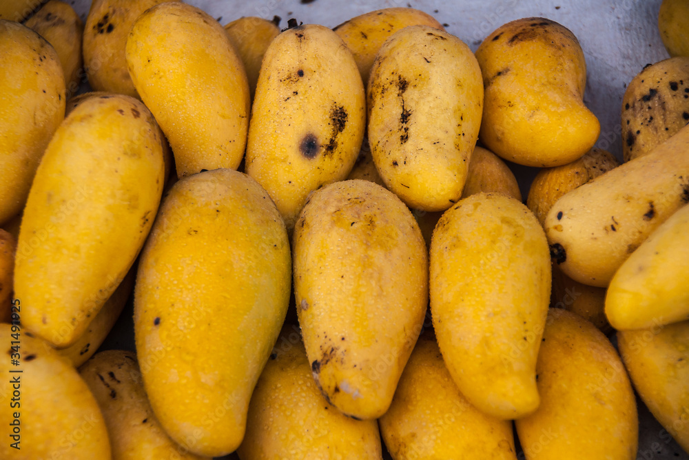 Fengdu, China - May 8, 2010: Closeup of yellow mangos with borwn spots on public market. Fengdu, China - May 8, 2010: Closeup of yellow mangos with borwn spots on public market.