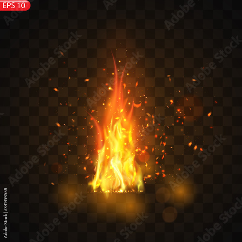 Realistic burning fire flames vector 