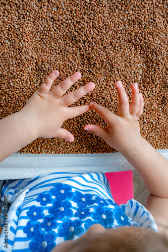 Essential goods: Buckwheat. Buckwheat seed pour in bunch closeup. Buckwheat cereal background. Buckwheat in Hands. Coronavirus food supplies photo