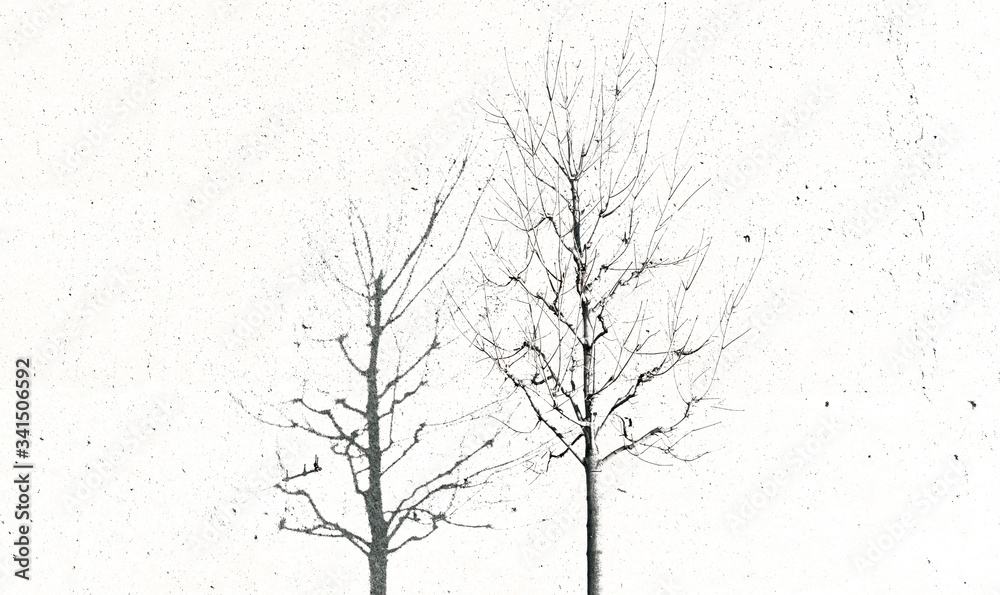 Obraz premium dead dried tree global warming ecology disaster monochrome concept of bare branches silhouette on white noisy background