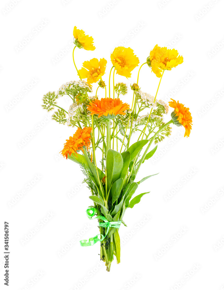 Bunch of orange wildflowers on white background