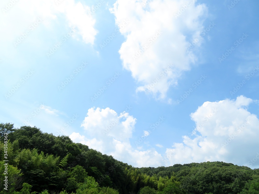 Obraz premium 日本の田舎の風景 7月 山と青空