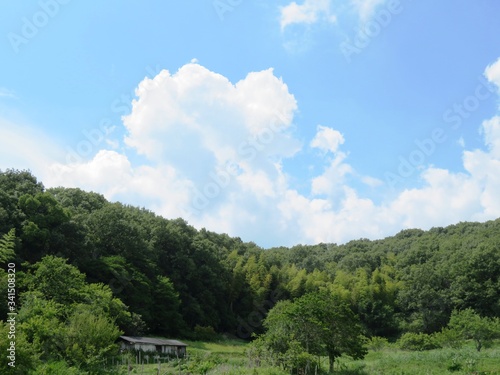 日本の田舎の風景 7月 山と青空