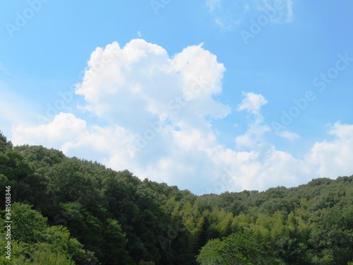 日本の田舎の風景 7月 山と青空