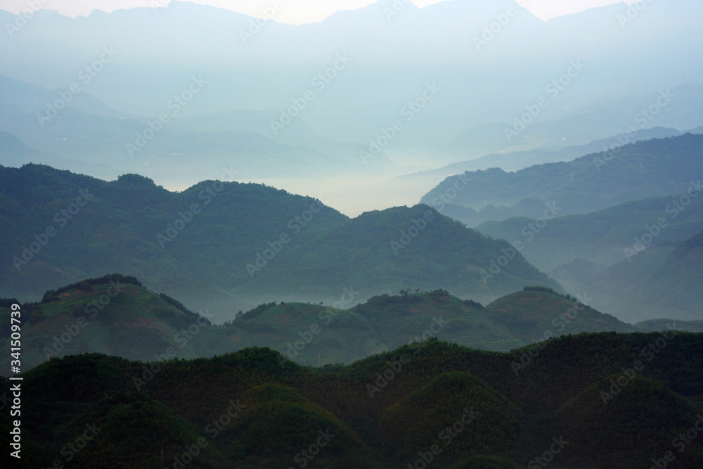 八重山1 八重山1