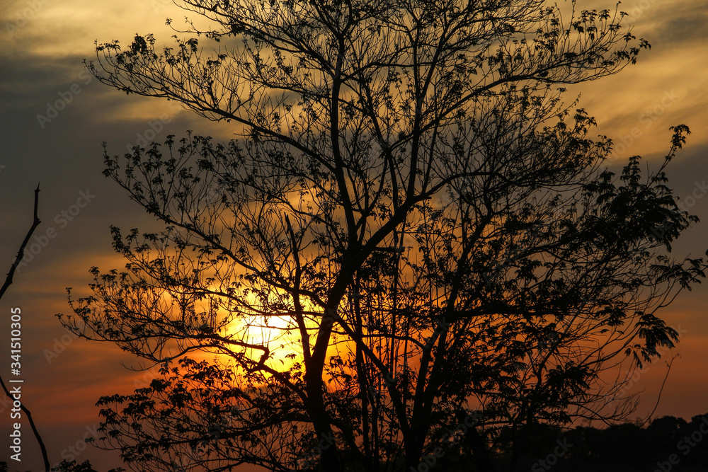 sunset sunset
