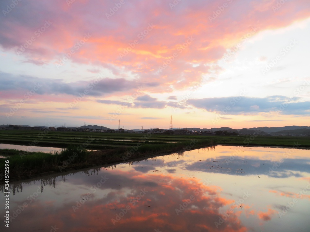 日本の田舎の風景　7月　空を写す田んぼの夕景