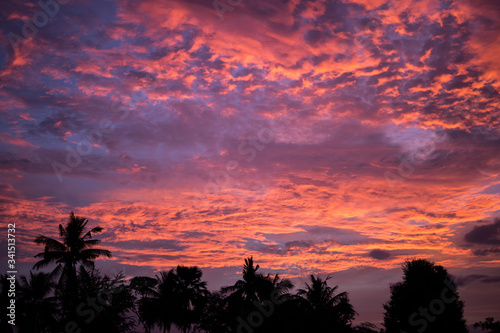 Beautiful Cloud sky dramatic red sunset and silhouette tree.