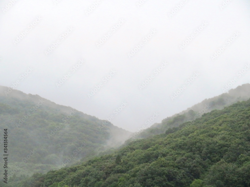 日本の田舎の風景　7月　雨の山