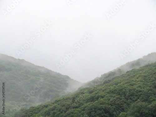 日本の田舎の風景 7月 雨の山
