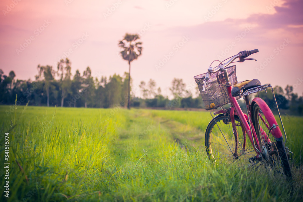Landscape picture Vintage Bicycle with Summer grass field at sunset.