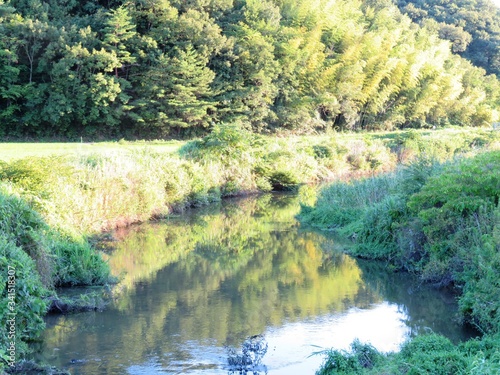 Fototapeta Naklejka Na Ścianę i Meble -  日本の田舎の風景　7月　川辺の夕景