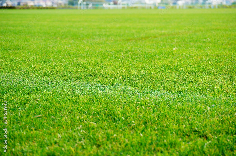 サッカー場 サッカー場