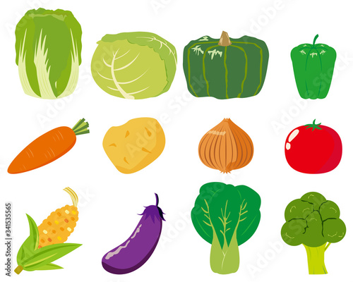 野菜　ピーマン　キャベツ　人参　南瓜　　