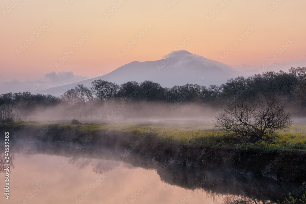 朝日が昇る筑波山と朝霧に包まれる小貝川の菜の花