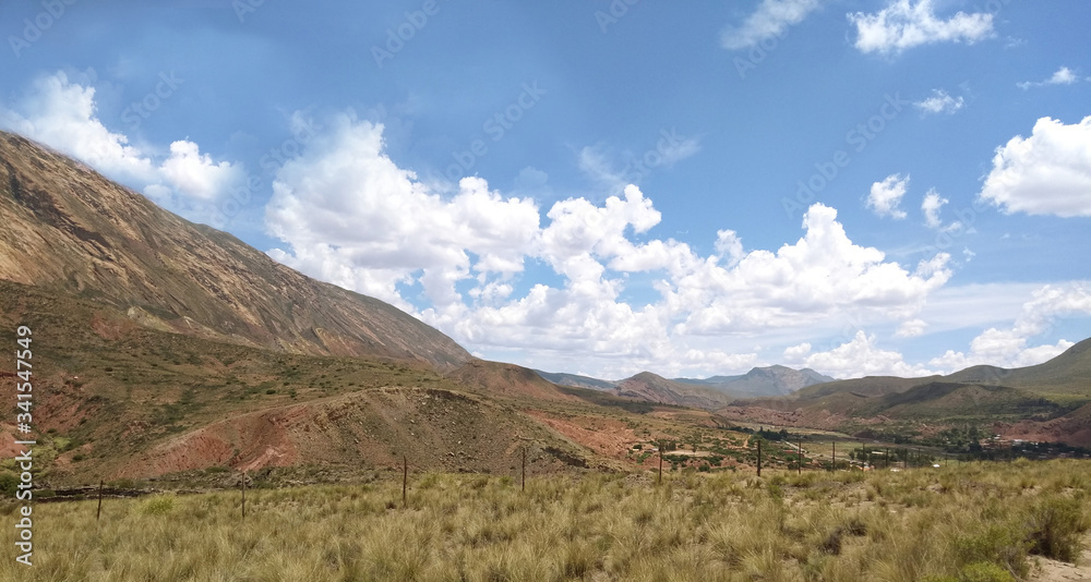 Tarde en el campo Tarde en el campo