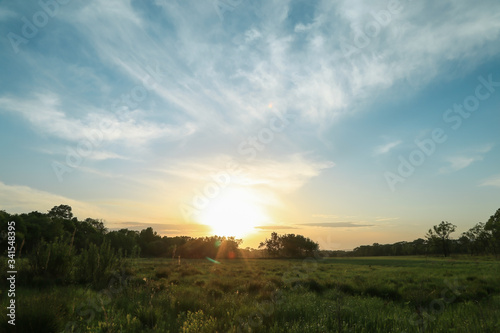 sunset over the field, summer landscape
