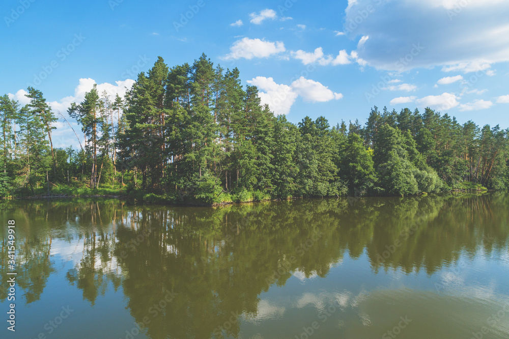 Rainforest, beautiful river in summer.  Lakeshore with trees.