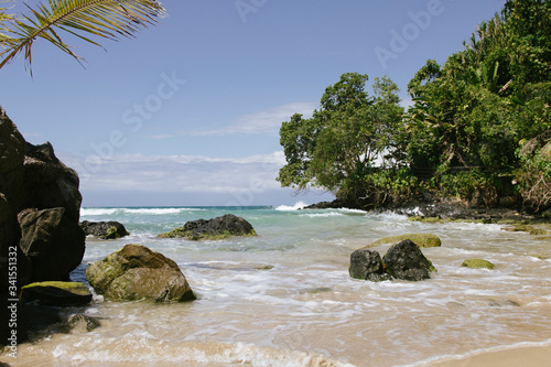 Landscape view of a crystal blue water beach with rocks and surrounded by palm trees in Bocas del Toro in the caribbean 