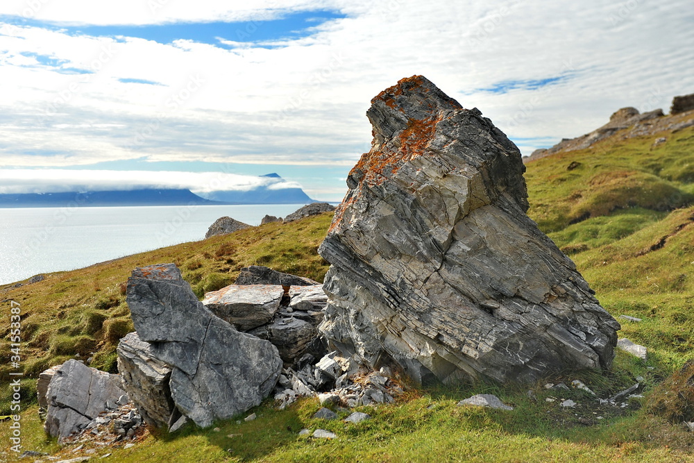 Mountain landscape of the Svalbard archipelago.