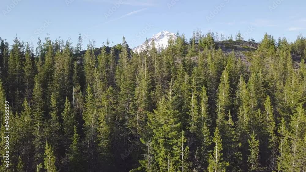 Aerial view, forest and volcano during beautiful sunny day.
Mount Hood is active stratovolcano in the Cascade Volcanic Arc. Pacific Northwest region of the United States. Oregon, USA
Background nature