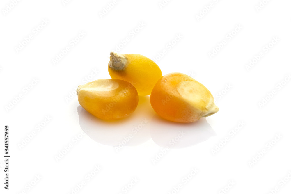 Barley seeds isolated on white. Yellow Sweet grain corn for popcorn - agriculture background. Concept of healthy food, vegetarianism, cooking corn.