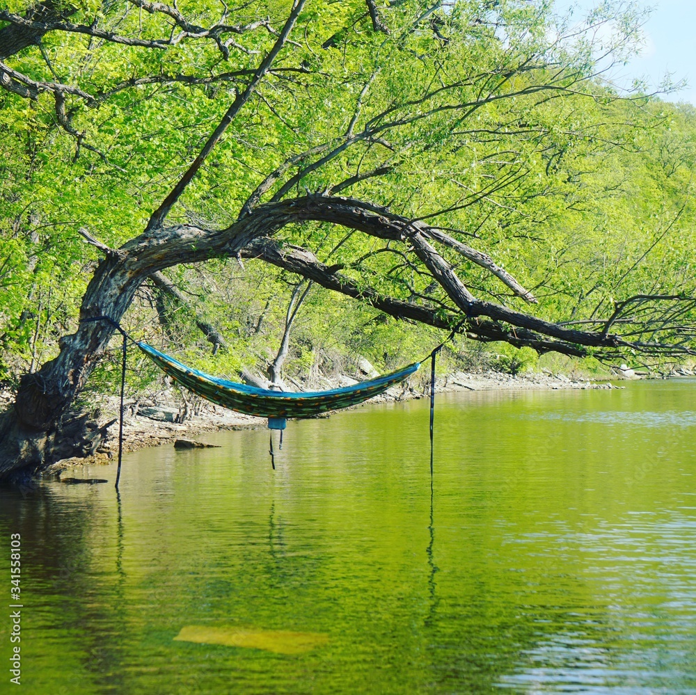 A Hammock On The river
