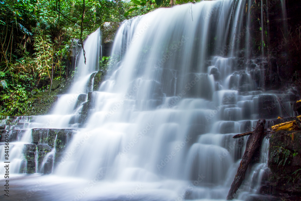 Obraz premium waterfall in the park