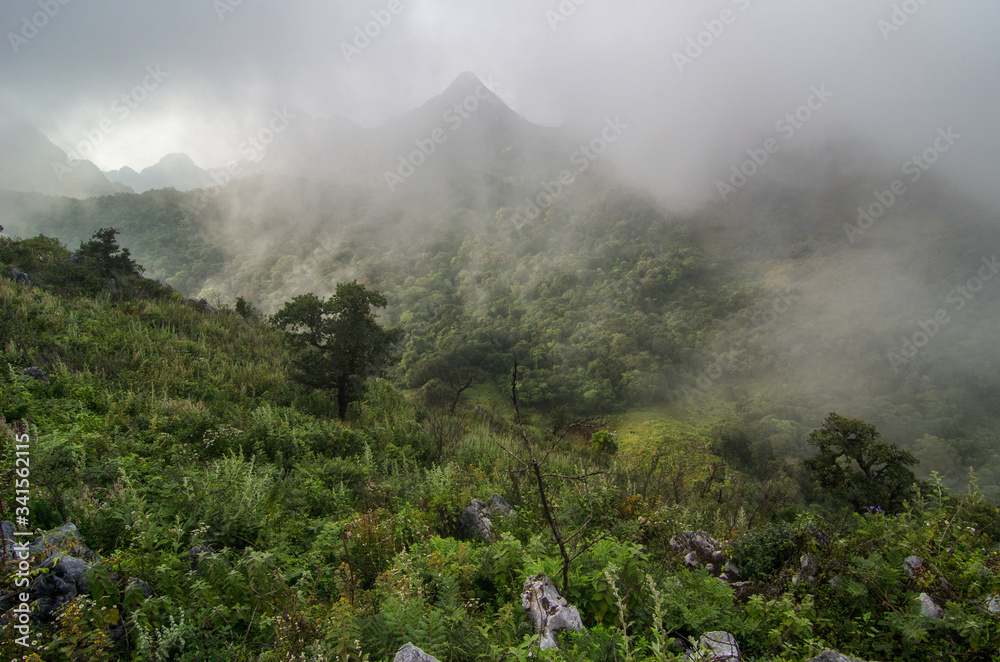The scenery of the Giw Lom peak at Doi Luang Chiang Dao in Chiang Mai, Thailand.