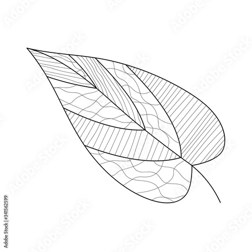 tree leave for anti-stress coloring. Doodle art design elements. Black and white pattern for coloring books for adults and children. Winter cherry on a white background