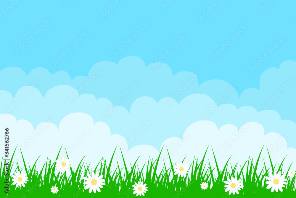 Cloud background with grass and camomile.