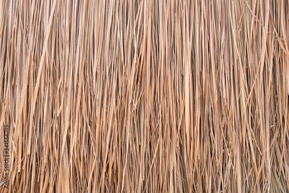 Thatch roof background, hay or dry grass background Thatch roof background, hay or dry grass background