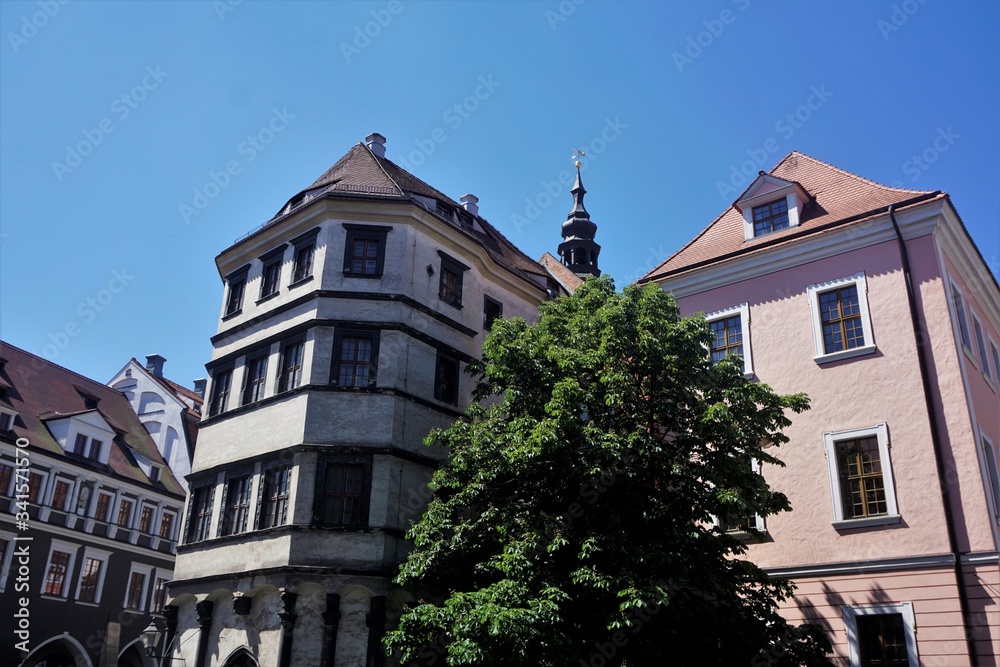 Fototapeta premium Tree between two ancient houses in the old town of Gorlitz