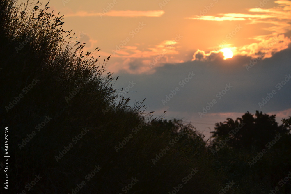 silhouette of hill covered with tall grass in background under sunset sky silhouette of hill covered with tall grass in background under sunset sky