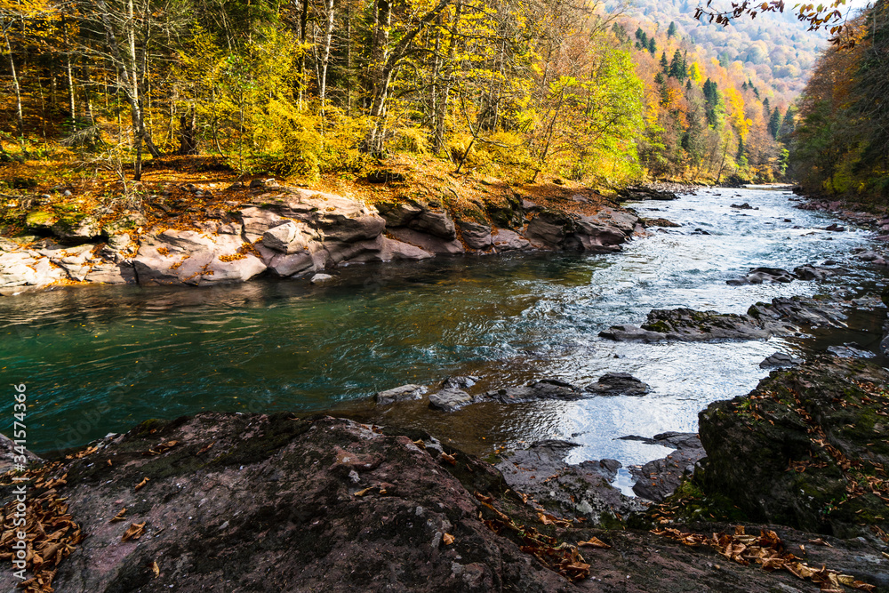 Clean mountain river in the autumn forest. Clean mountain river in the autumn forest.