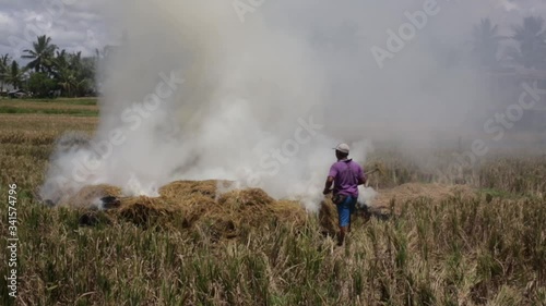 Close up view of wildfire, spreading flames of forest fire. Natural disaster, climate change, global worming. Fire, wildfire, burning grass field in the smoke and flames. Earth concept