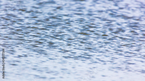 The surface of the water in the pond as an abstract background.