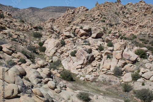 The Sawtooth Mountains create environment for numerous indigenous Southern Mojave Desert species of Pioneertown Mountains Preserve.