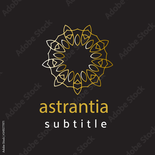 ornament logo gold and silver