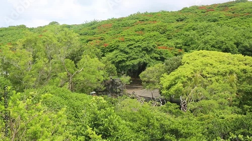 Aerial view of Tropical Rainforest in Amazon. Green Trees