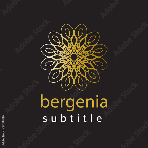 ornament logo gold and silver
