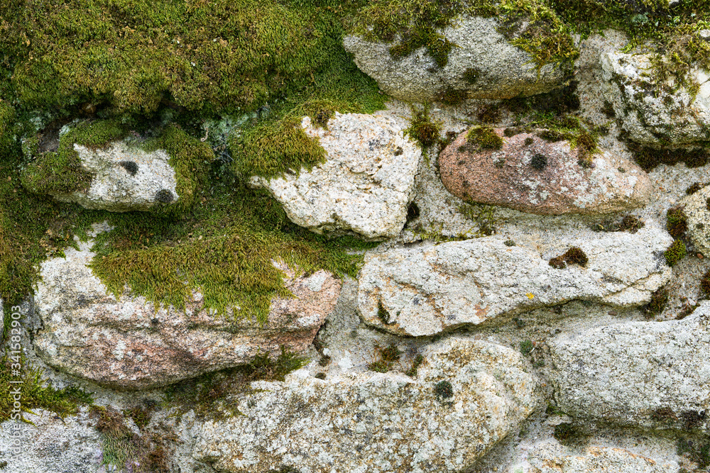 Moss texture, stones with moss background. 