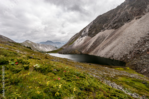 Mountain lake near a high cliff. Lots of green vegetation. Peaks of mountains are visible in the distance. Cloudy weather. Horizontal.